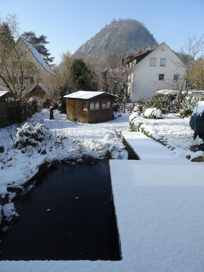 Teich, Gartenhaus im Winter