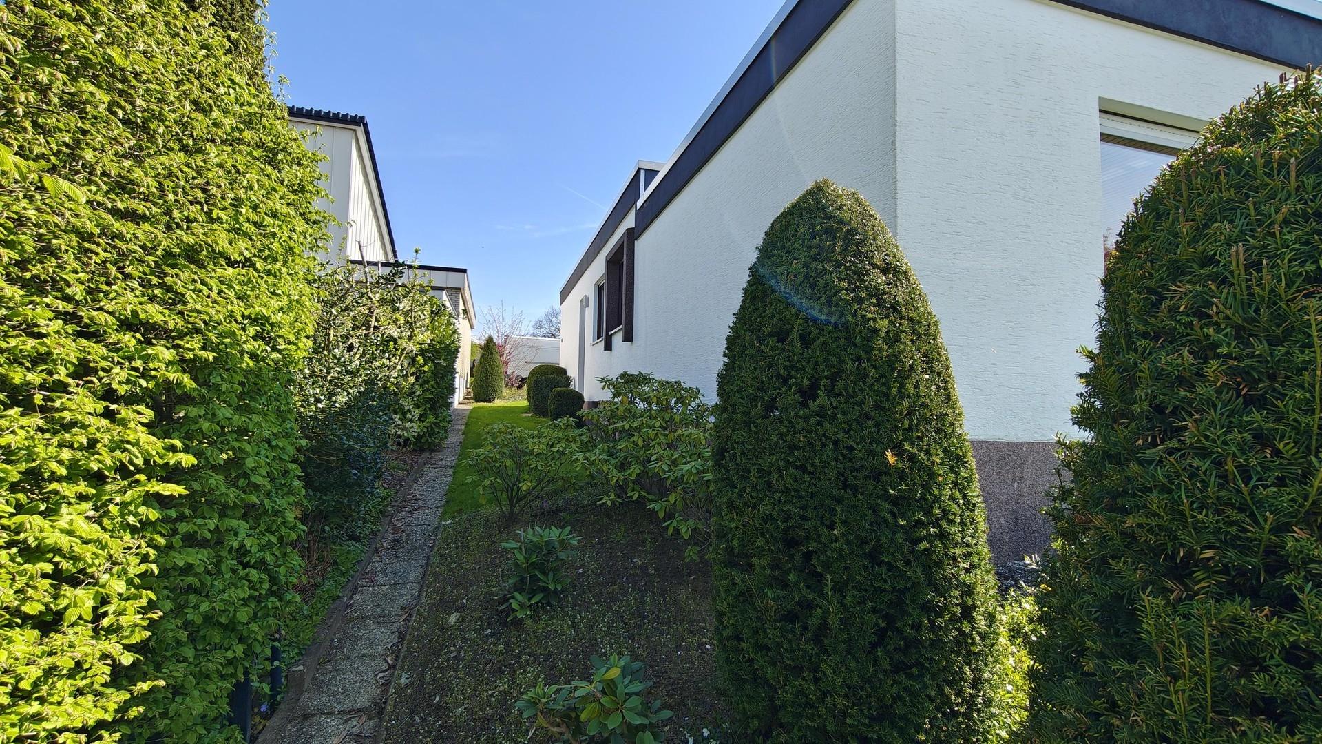 Garten2