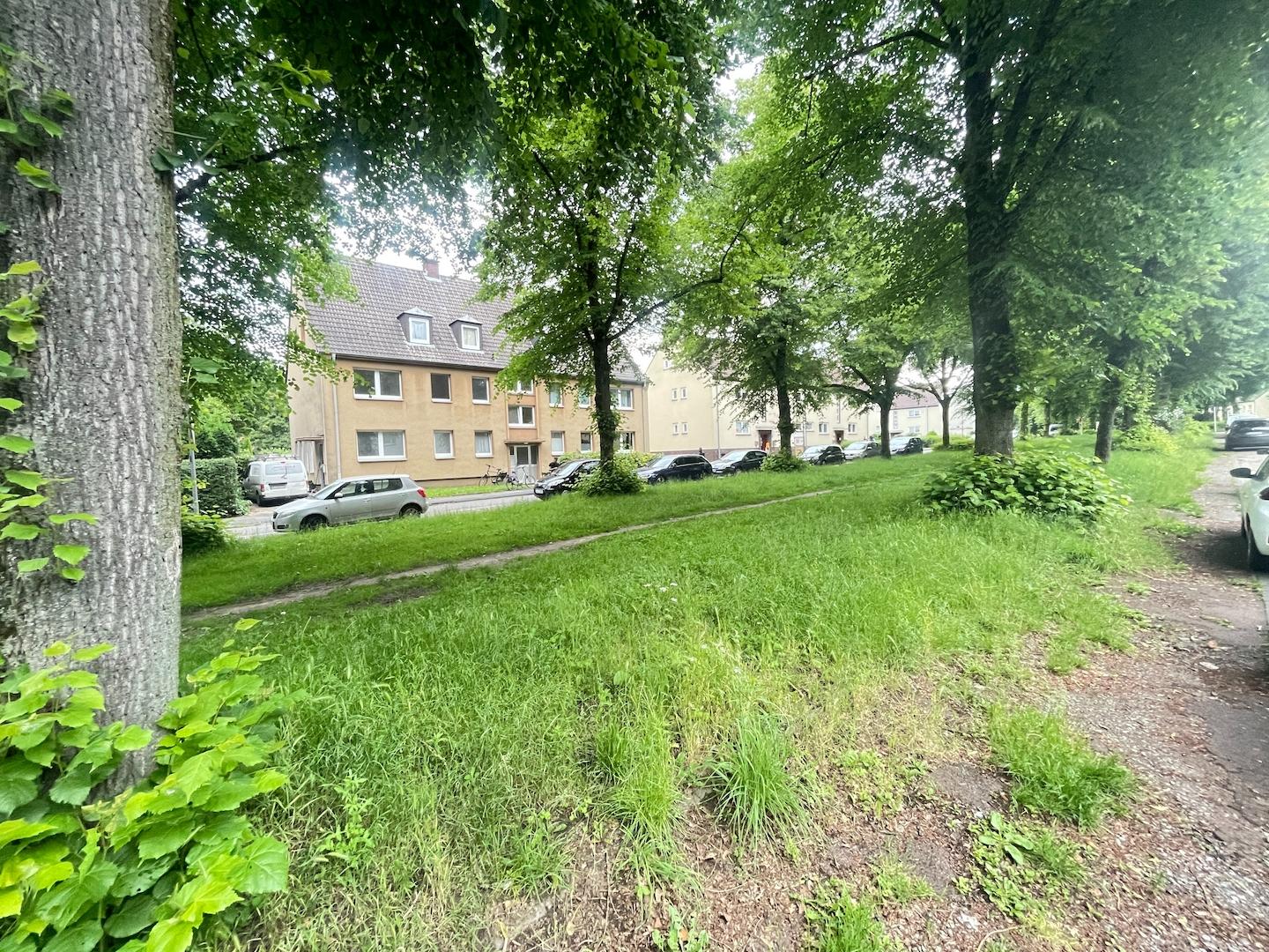 #10353 a Haus OG1LI MADR 240528 IMG_2004