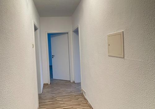 #10353 DIELE OG1LI MADR 240528  IMG_2008