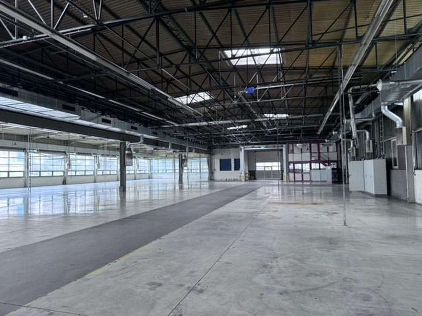 Halle