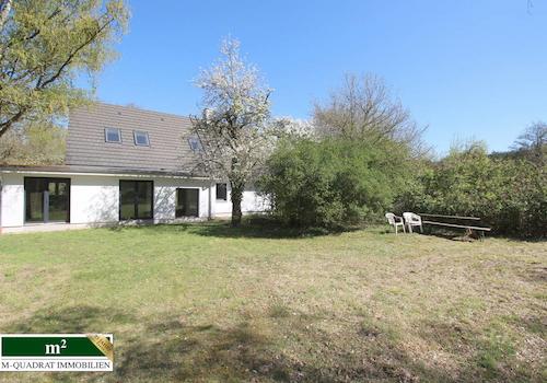 Aufblühender Garten - der Frühling ist gekommen