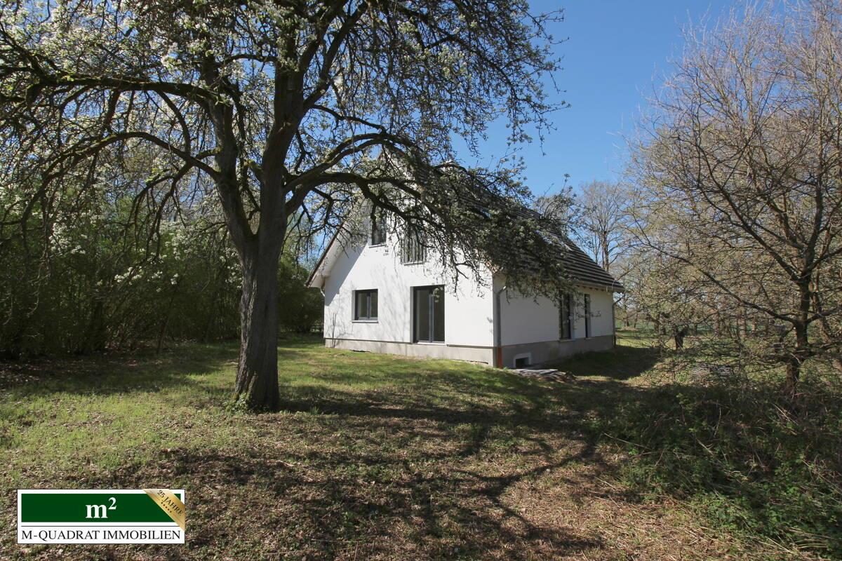 Gartenperspektive auf modernes EFH