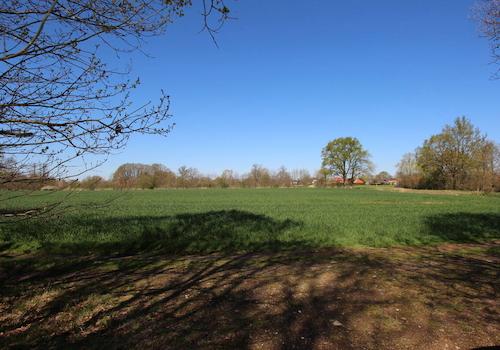 Einmalige ländliche Alleinlage mit energieeffizientem EFH