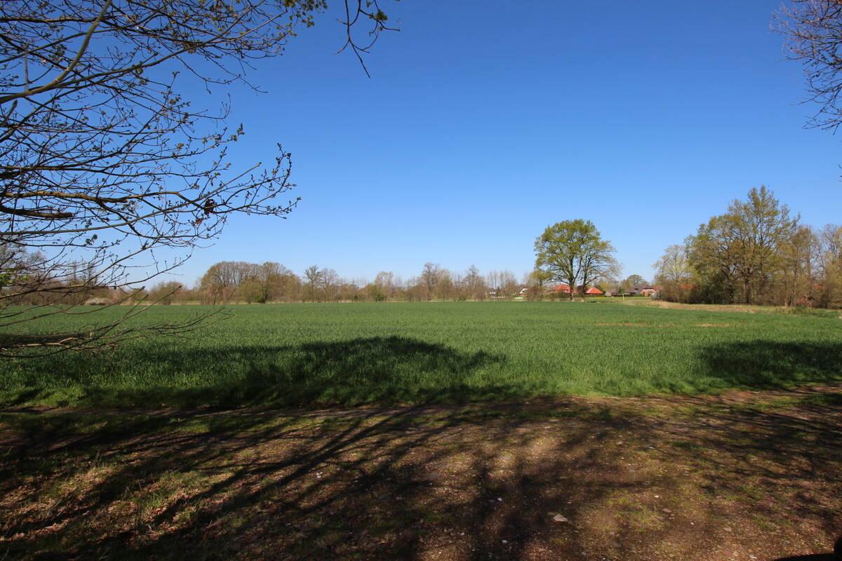 Einmalige ländliche Alleinlage mit energieeffizientem EFH