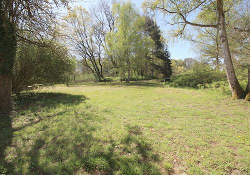 Herrlicher Gartenblick auf Baumbestand u. nahem Teich