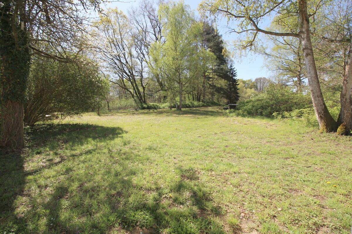 Herrlicher Gartenblick auf Baumbestand u. nahem Teich