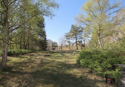 Parkähnlicher Garten mit Feuerstelle