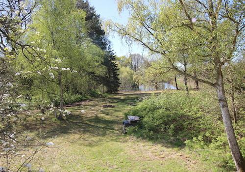 Taumhaft schöner Gartenblick auf nahen Teich
