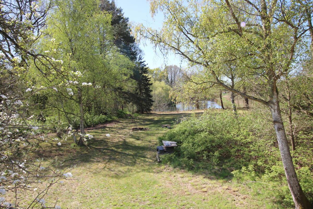 Taumhaft schöner Gartenblick auf nahen Teich