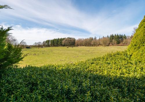 Blick über die Felder