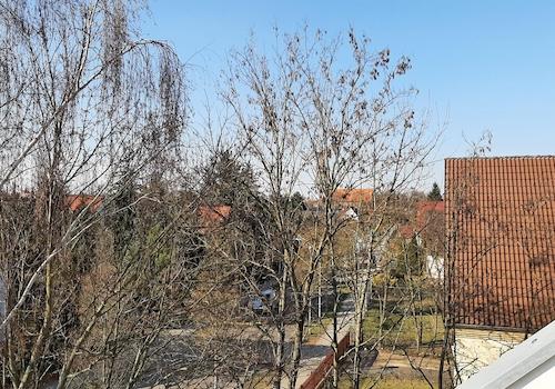 Blick auf die Straße