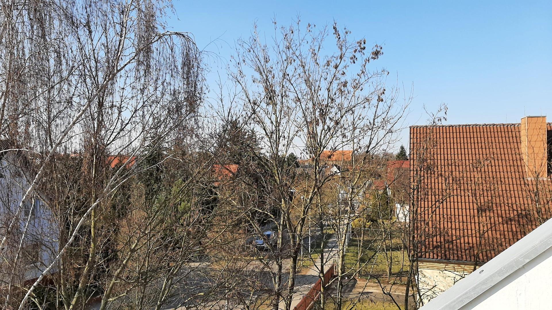 Blick auf die Straße