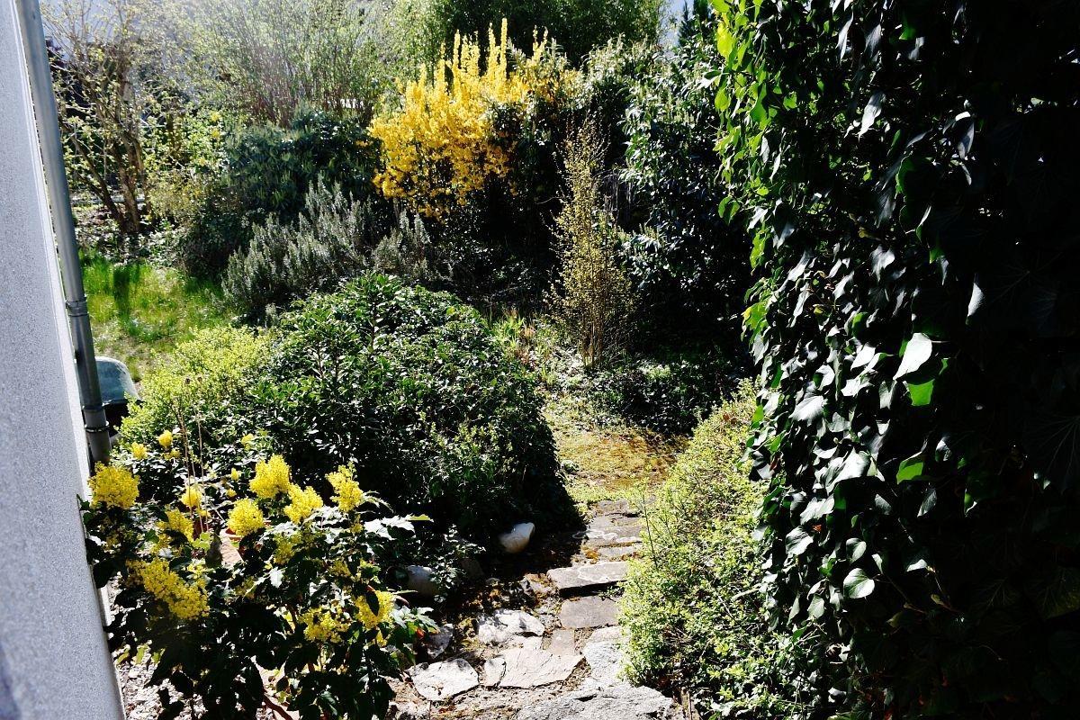 Gartenzugang