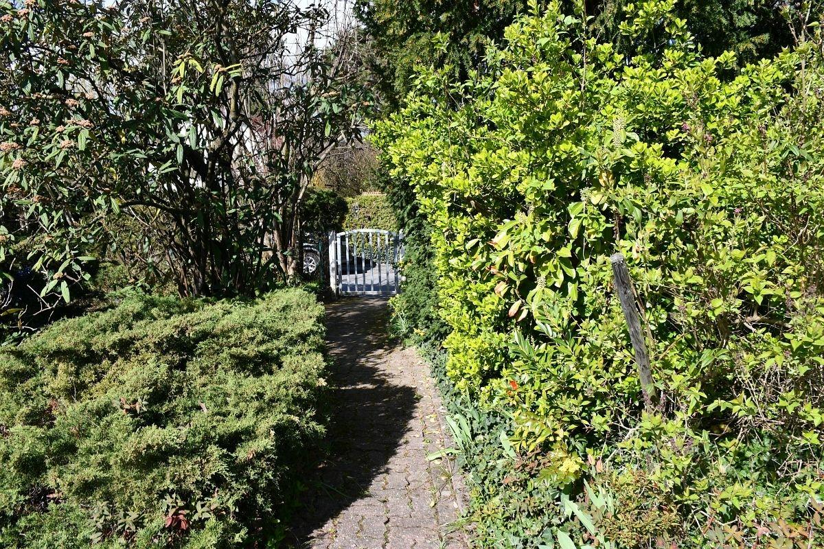 wertvoller Bewuchs