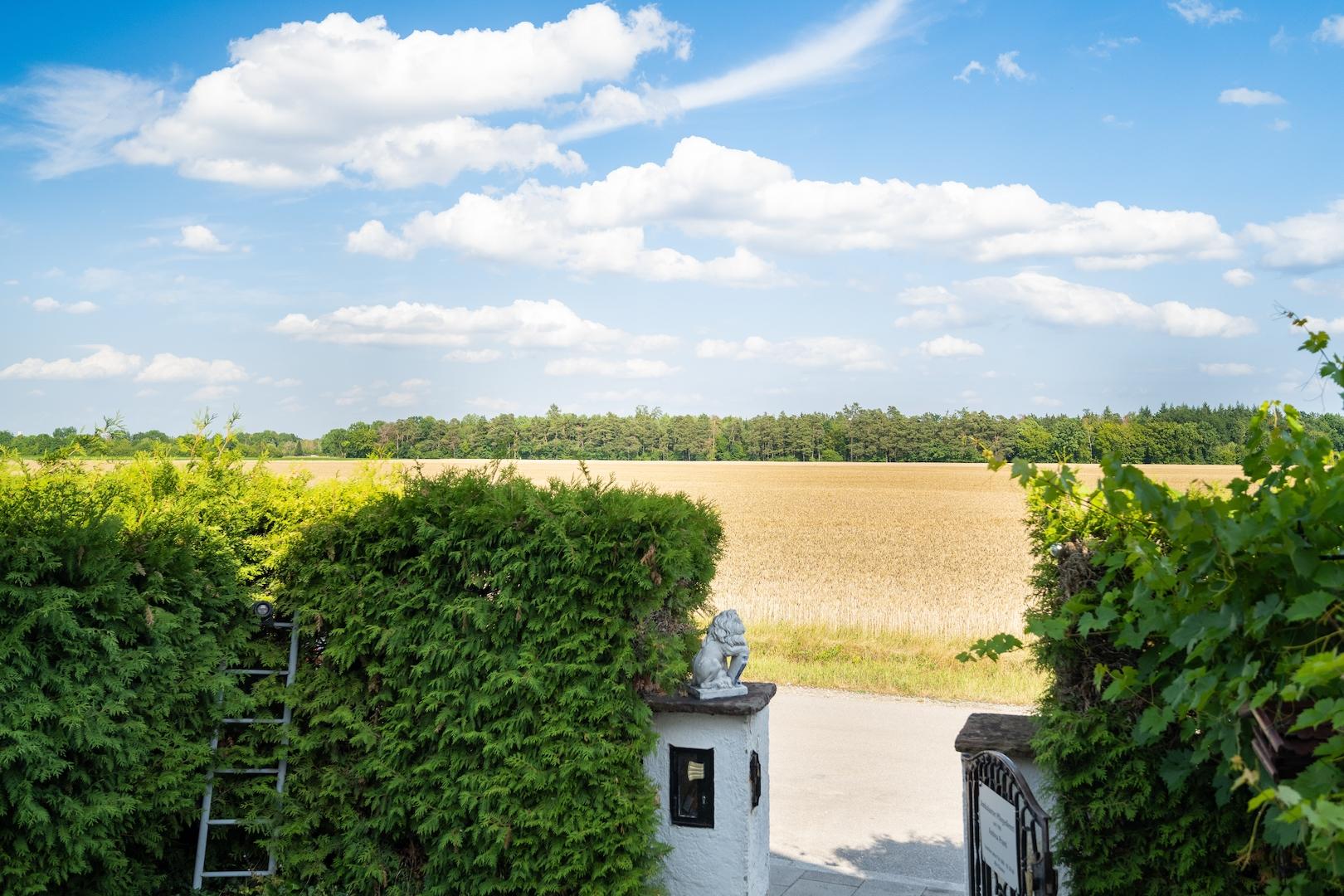 Ausblick Eingang