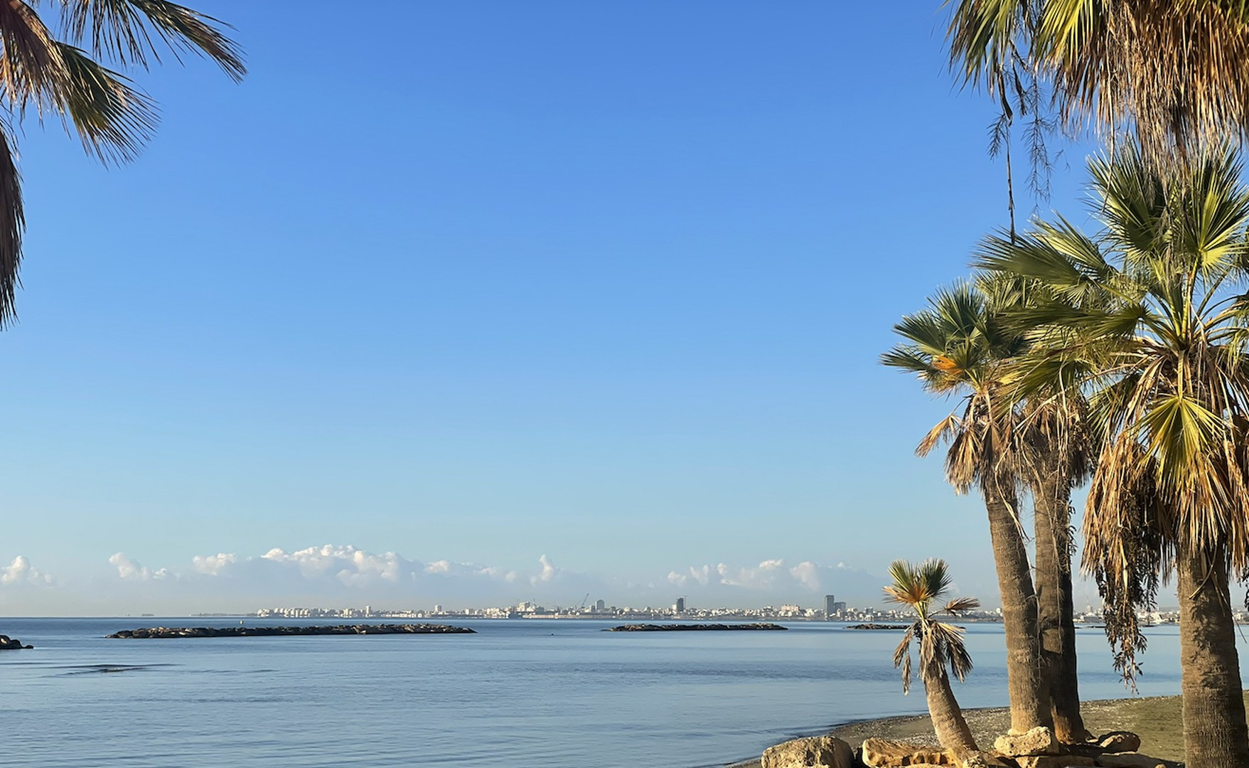 Skyline von Larnaca