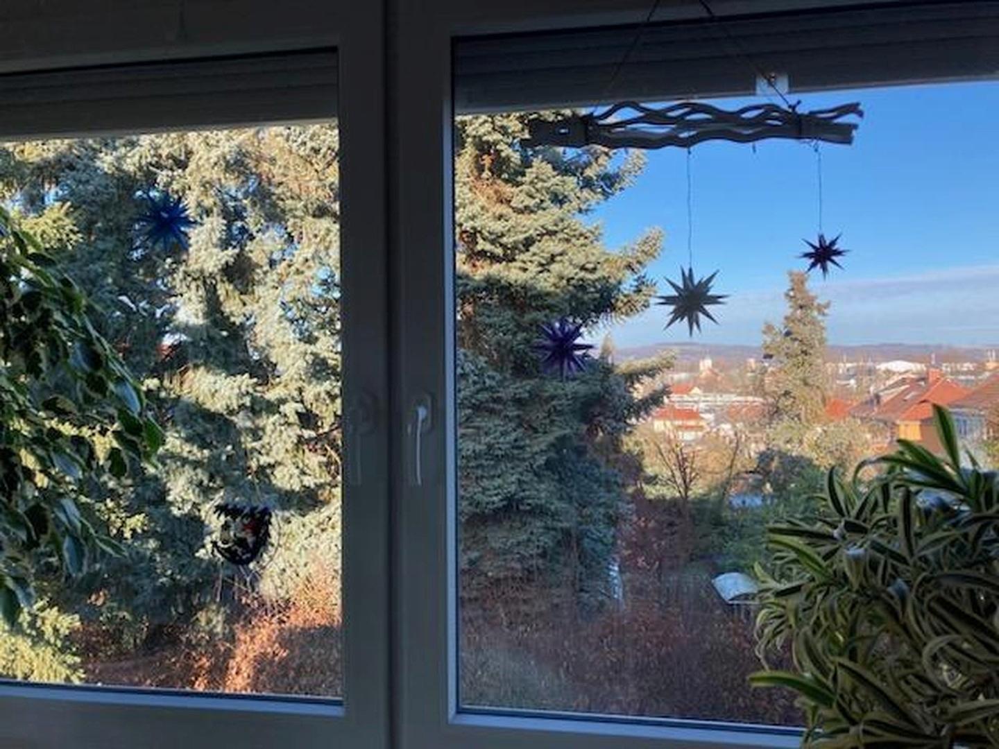 Wohnzimmerfenster nordseitig