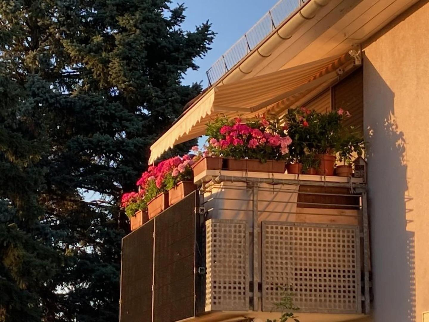 Balkon, Bild 2
