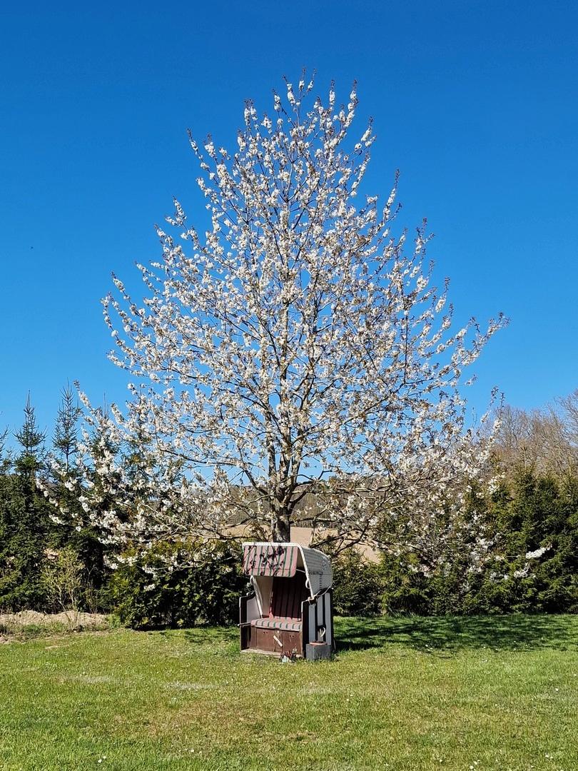 Ruheoasen im eigenen Garten
