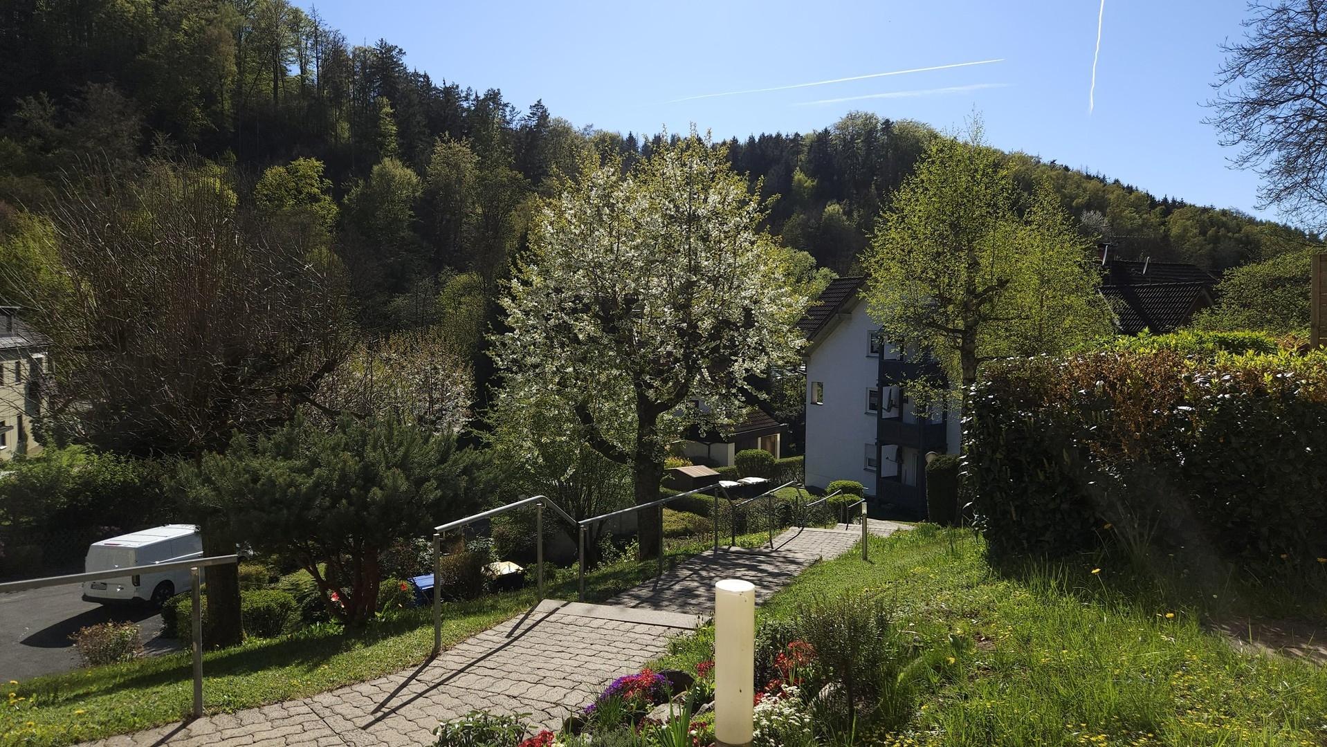 Aussicht vom Hauseingang