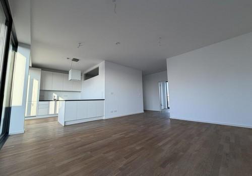 Wohnzimmer/Küche
