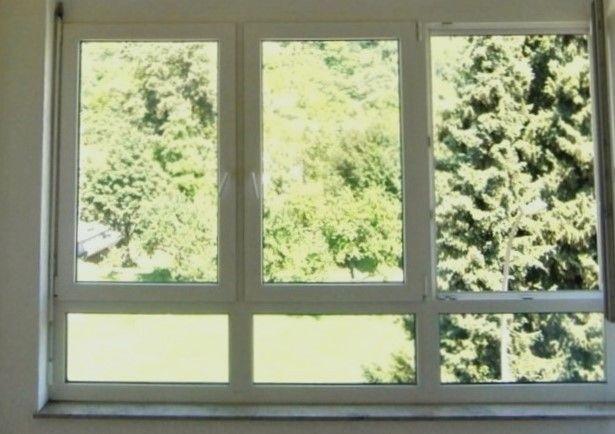 Ausblick vom Esszimmer