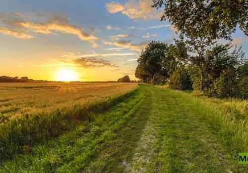 Keine Originalbilder