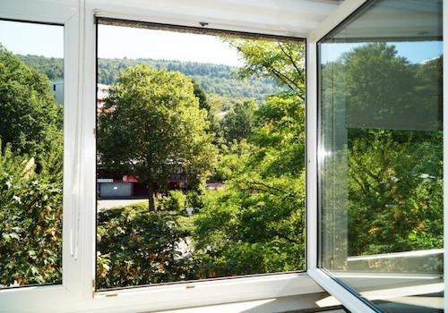 Ausblick