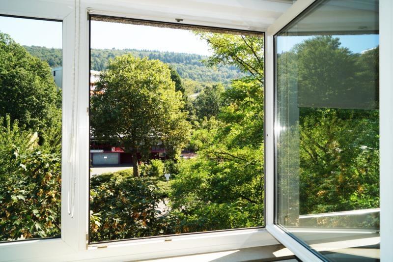 Ausblick
