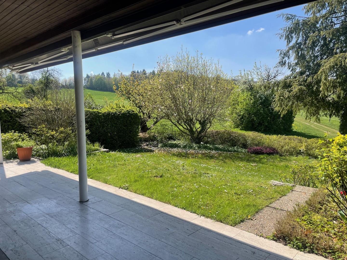 Blick von Terrasse in Garten 