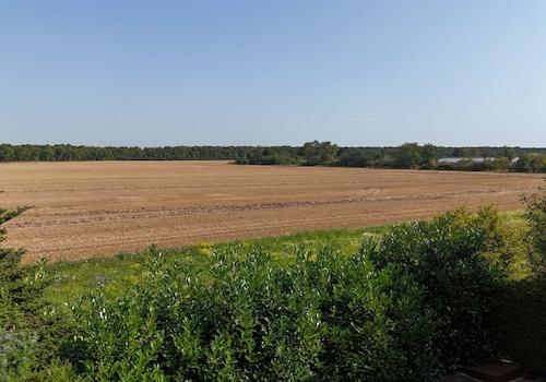 Blick aufs Feld