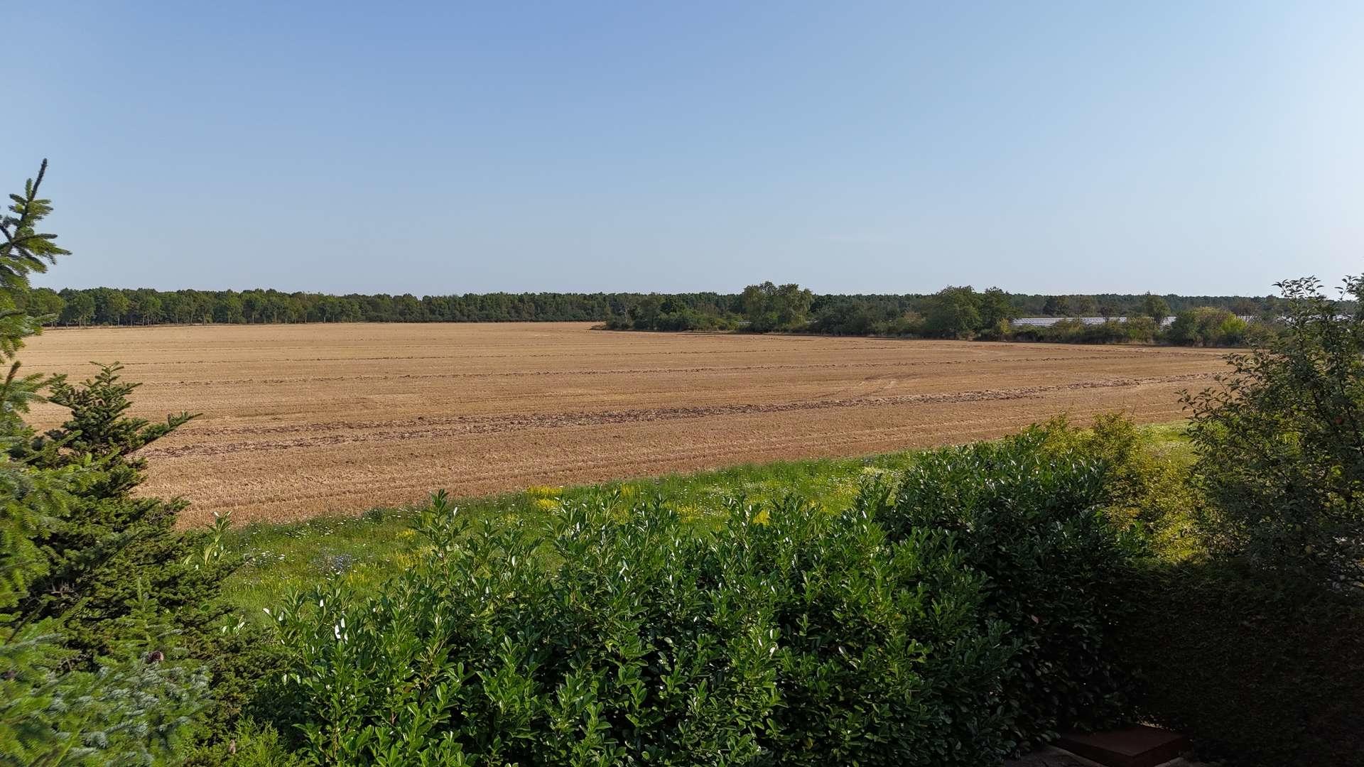 Blick aufs Feld
