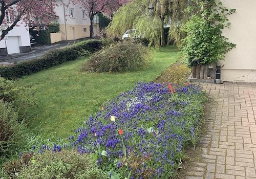 Garten vor dem Haus