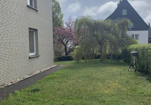 Rasenfläche Nebenstraße