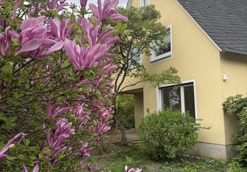 Blick auf Arbeitszimmer/Loggia