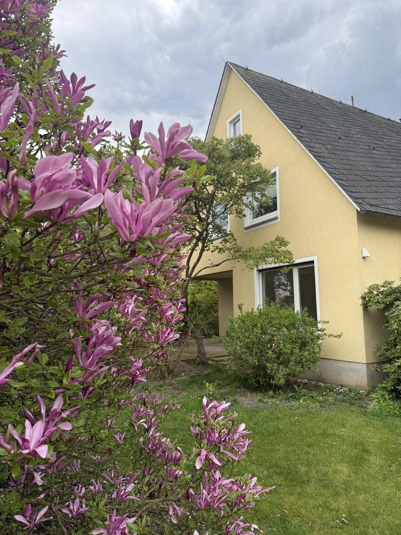 Blick auf Arbeitszimmer/Loggia