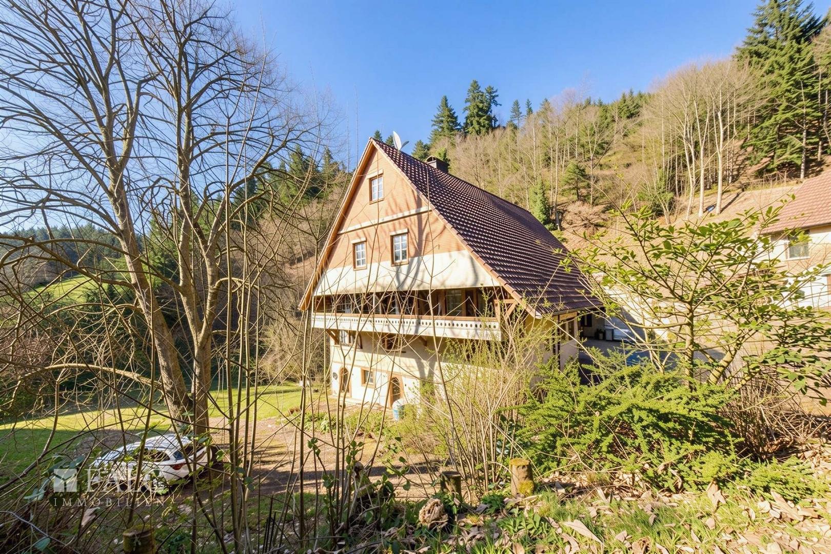 Hausansicht Front 