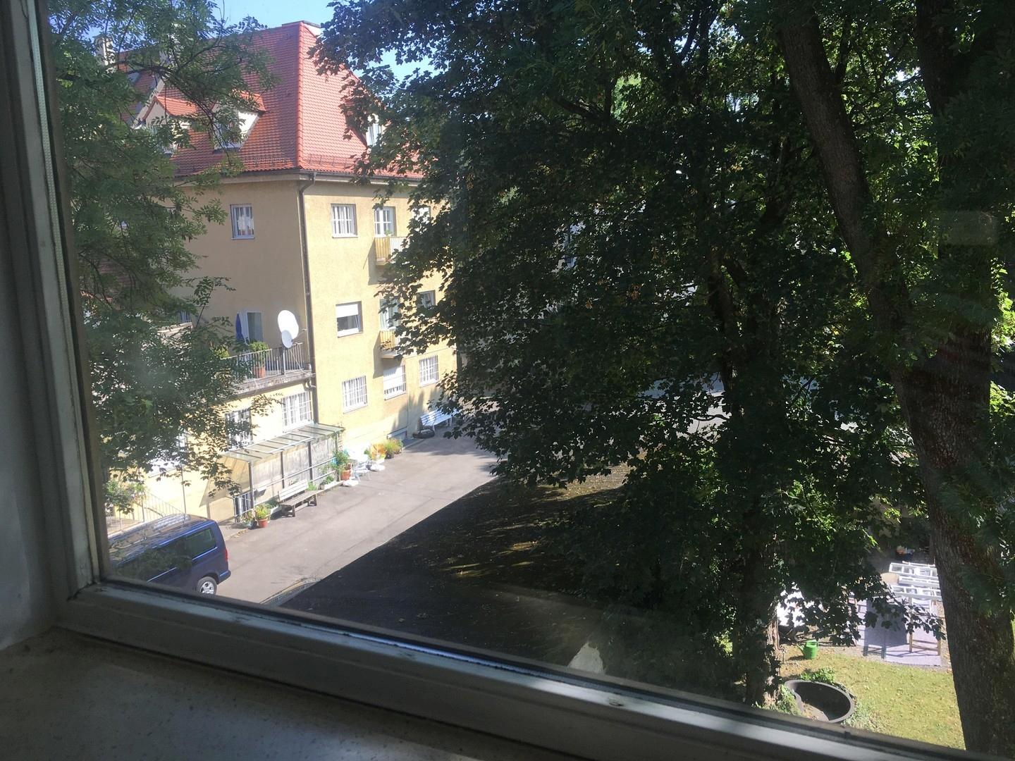 Ausblick