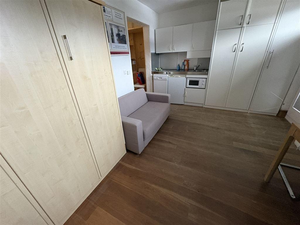 Wohn-Schlafzimmer (3)