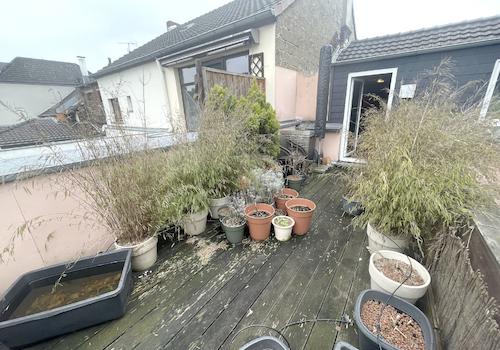 Whg. DG/Dachterrasse