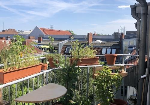 Blick von der Terrasse