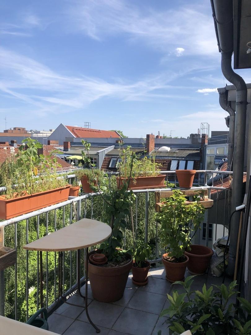 Blick von der Terrasse