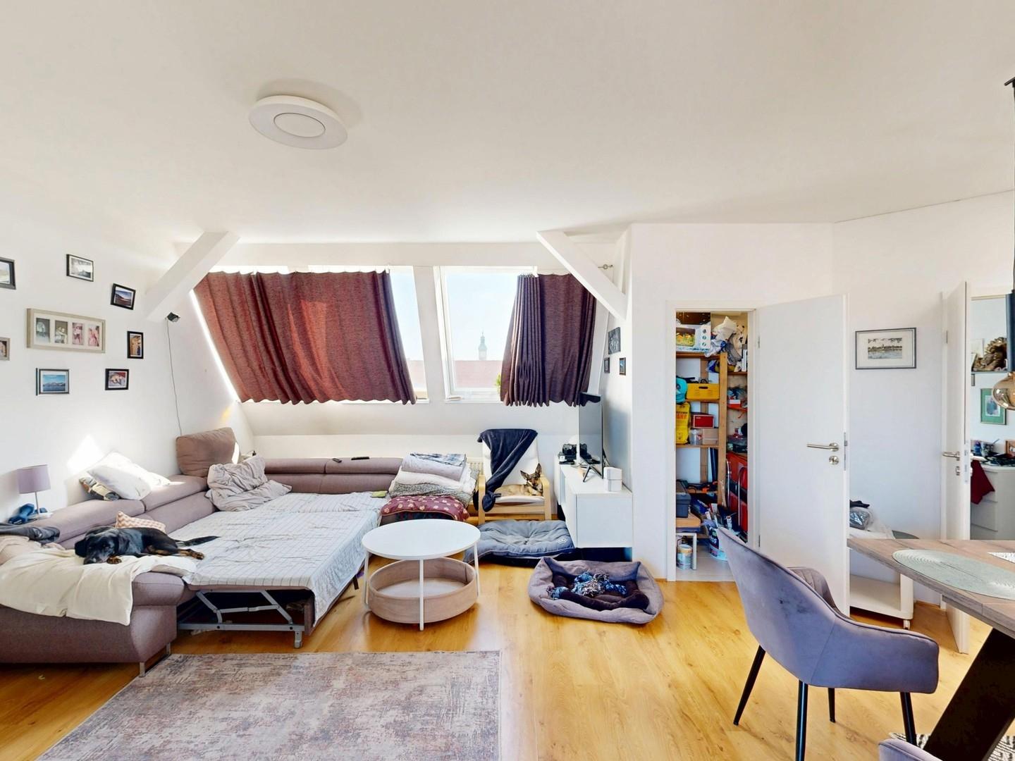 Wohnzimmer Dach
