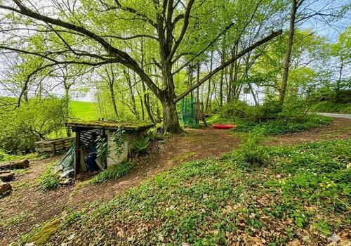 Waldgrundstück