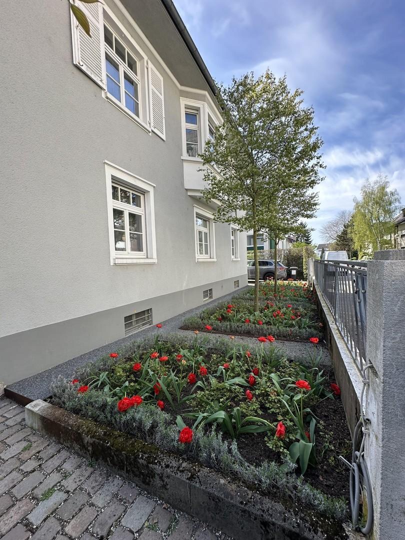 Vorgarten