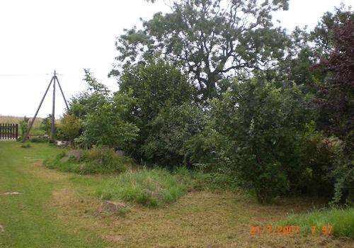 weitere Fotos verfügbar