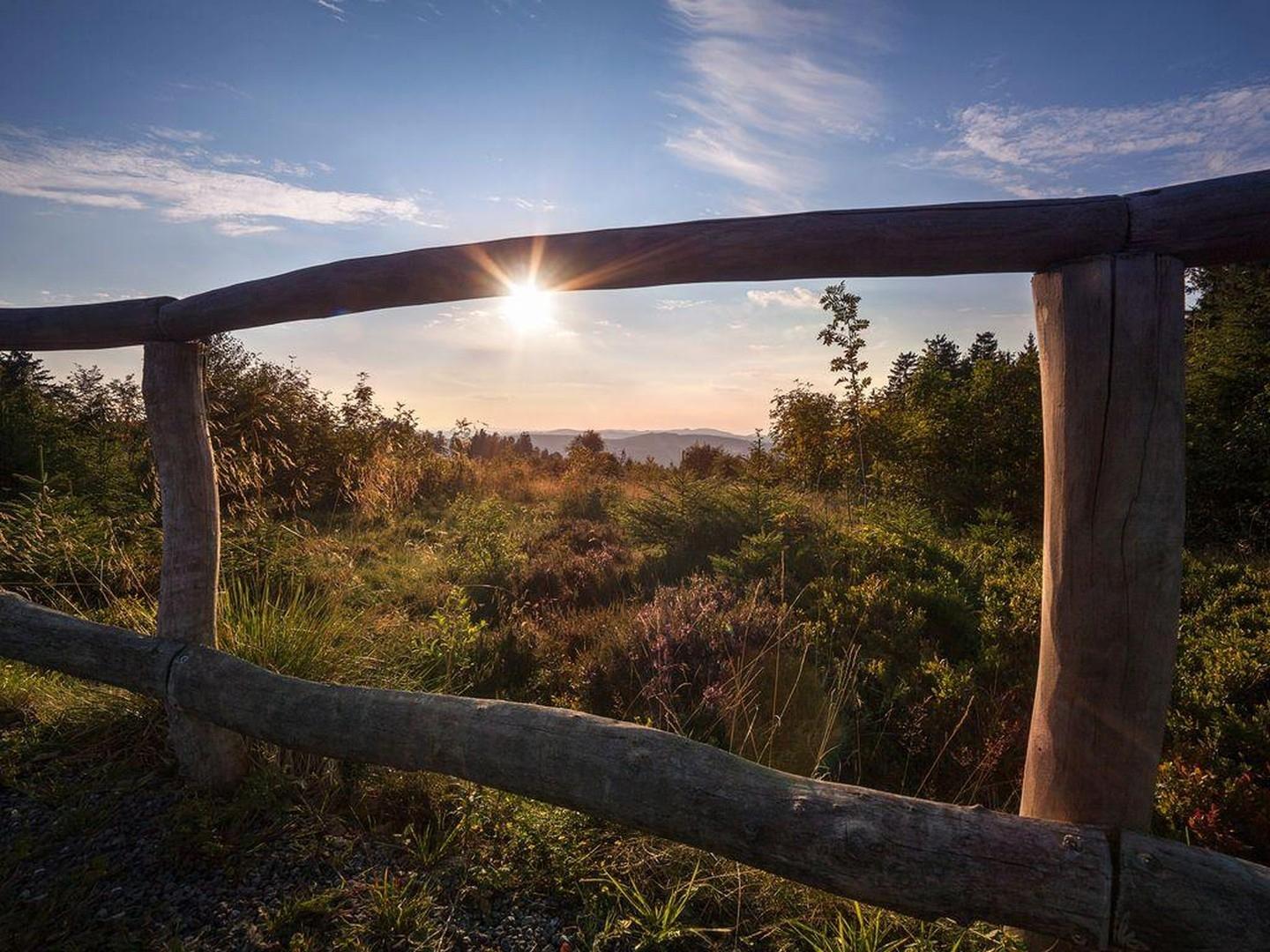 Natur pur