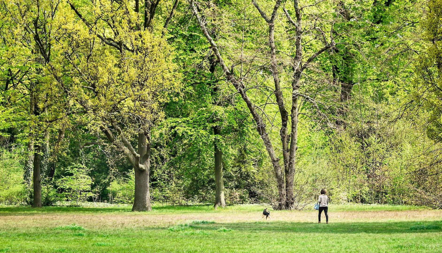 Grunewald