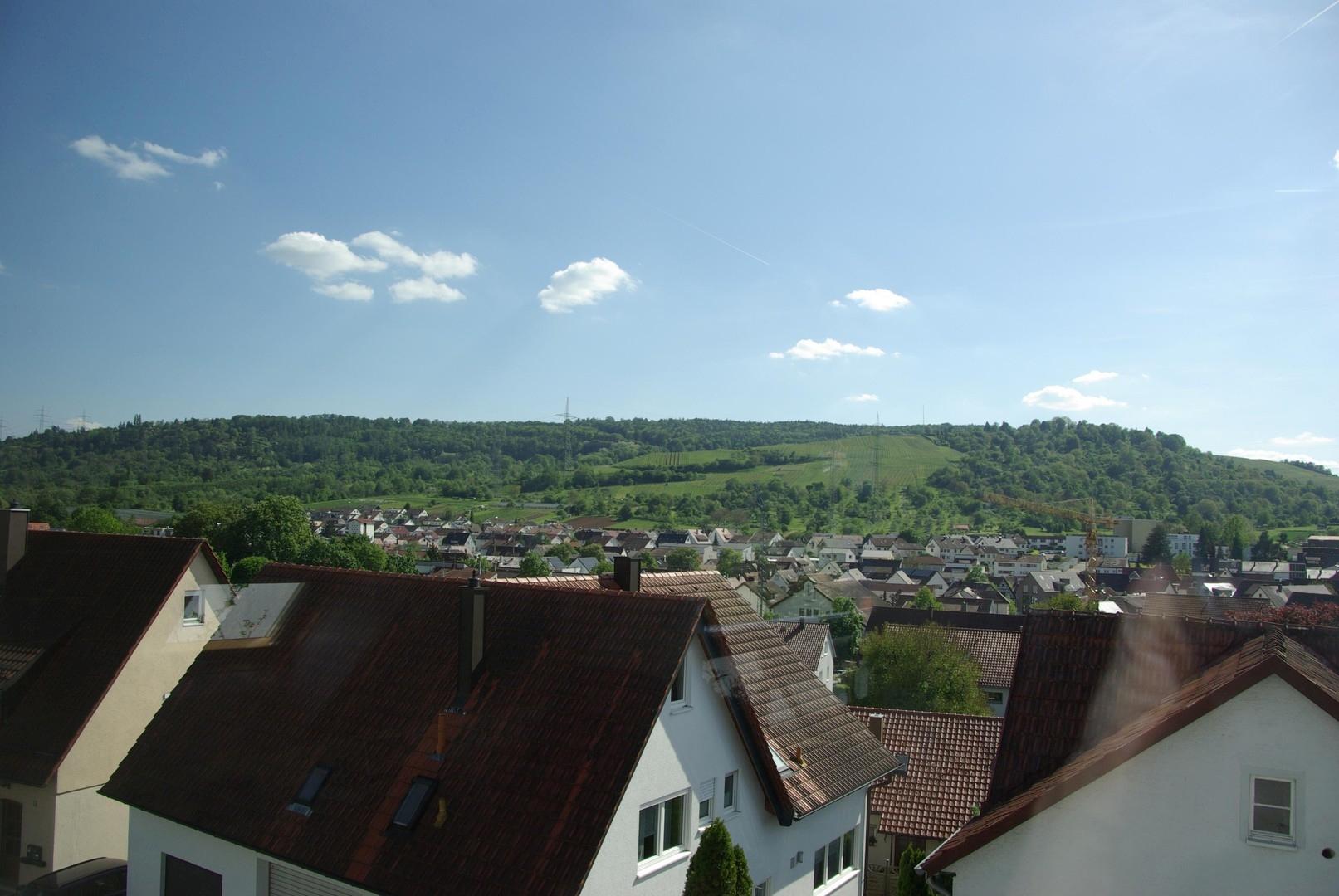 Blick auf Schurwald